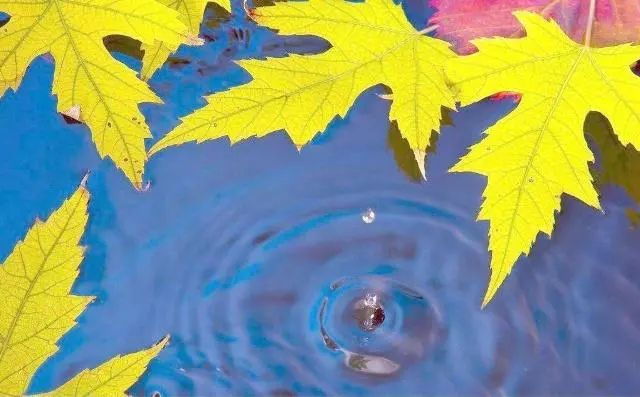 真实生活拍照技巧图片_拍照方法技巧集锦_拍照技巧视频教程