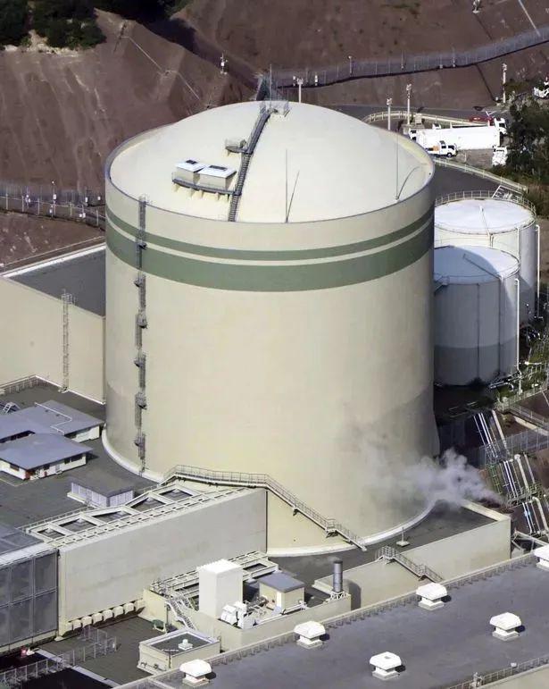 日本核污水入海变异生物_日本排放核废水鱼变异_日本排放核污水变异水母