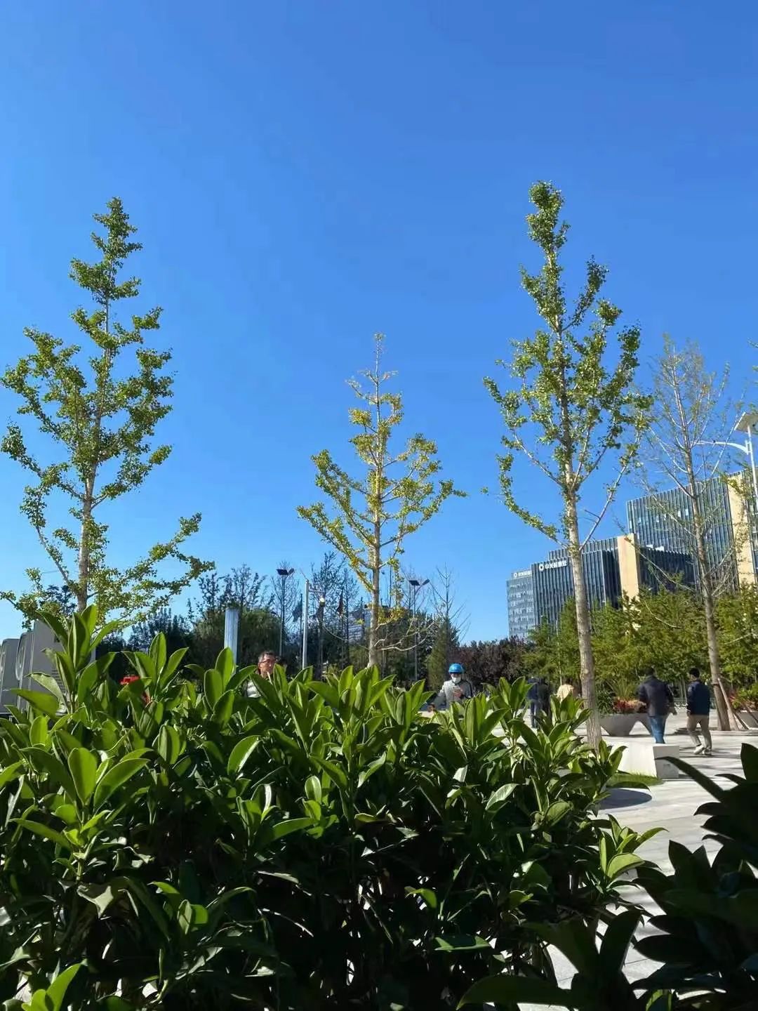 艾力生活技巧_艾力的时间管理方法_两性生活技巧